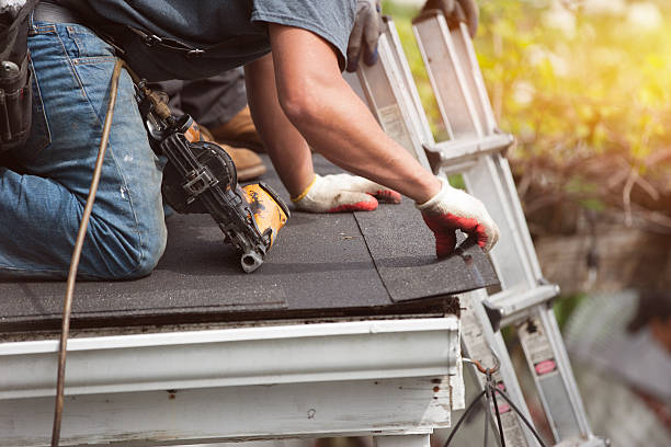 Best Storm Damage Roof Repair  in Trinity, TX